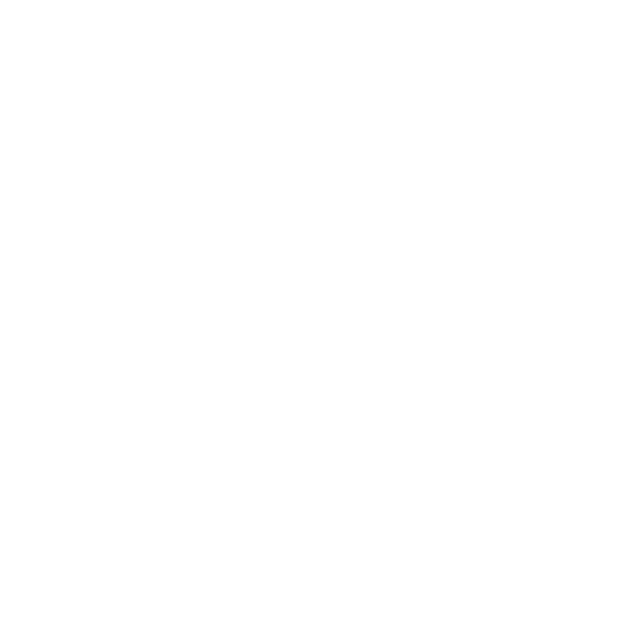 brand activation
