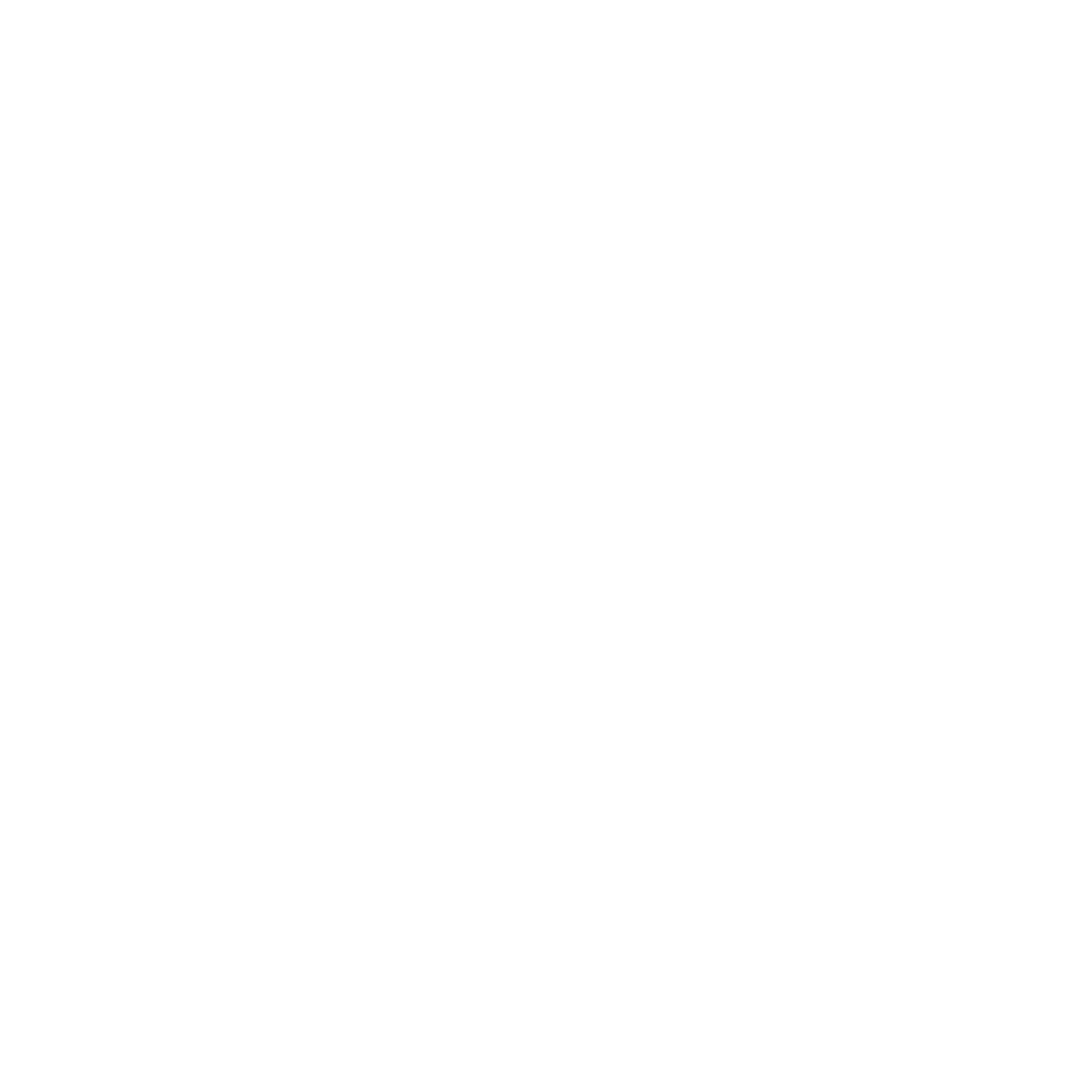 photoshoot icon