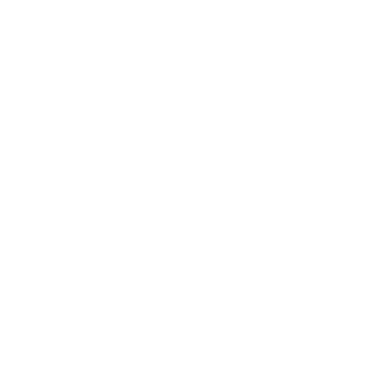 private party icon